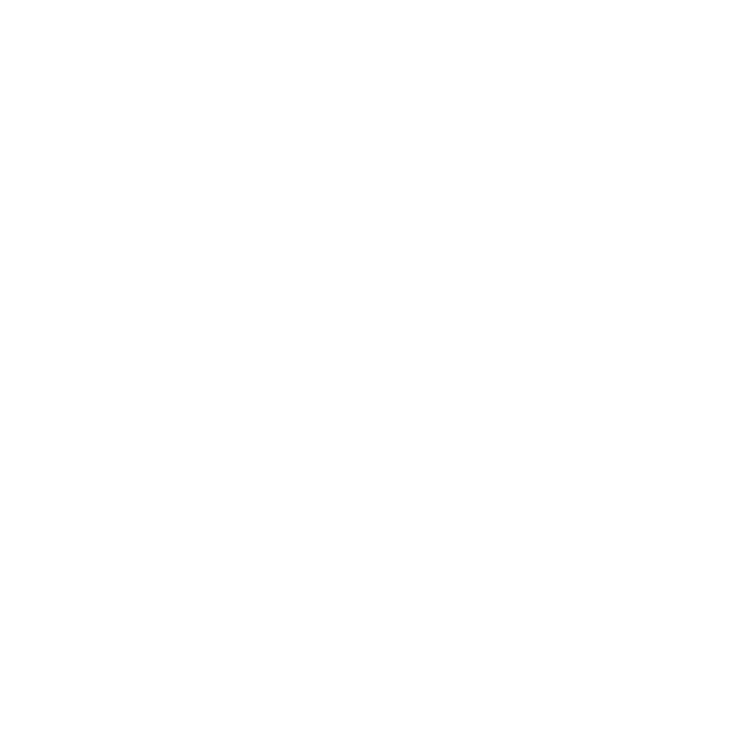Managed IT Icon