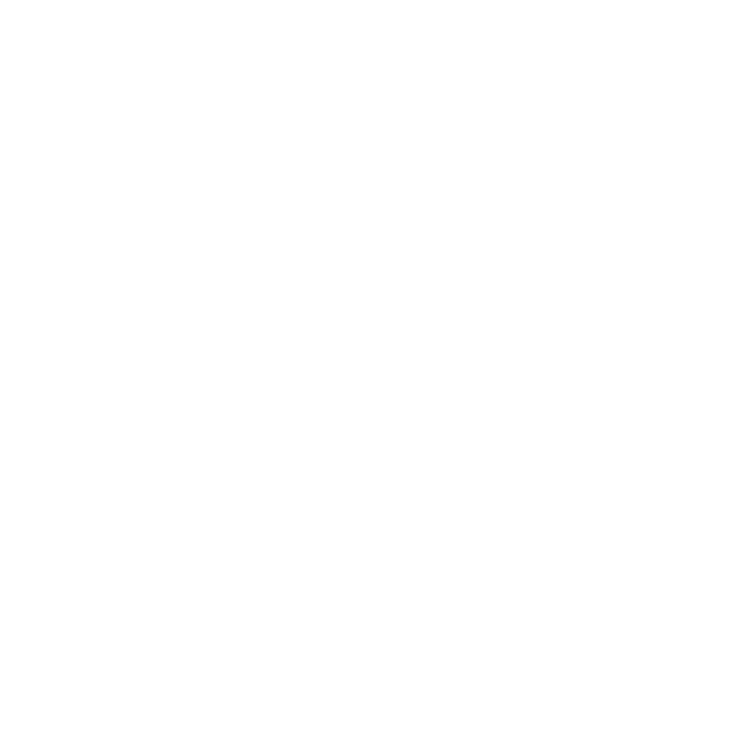 Managed IT Icon